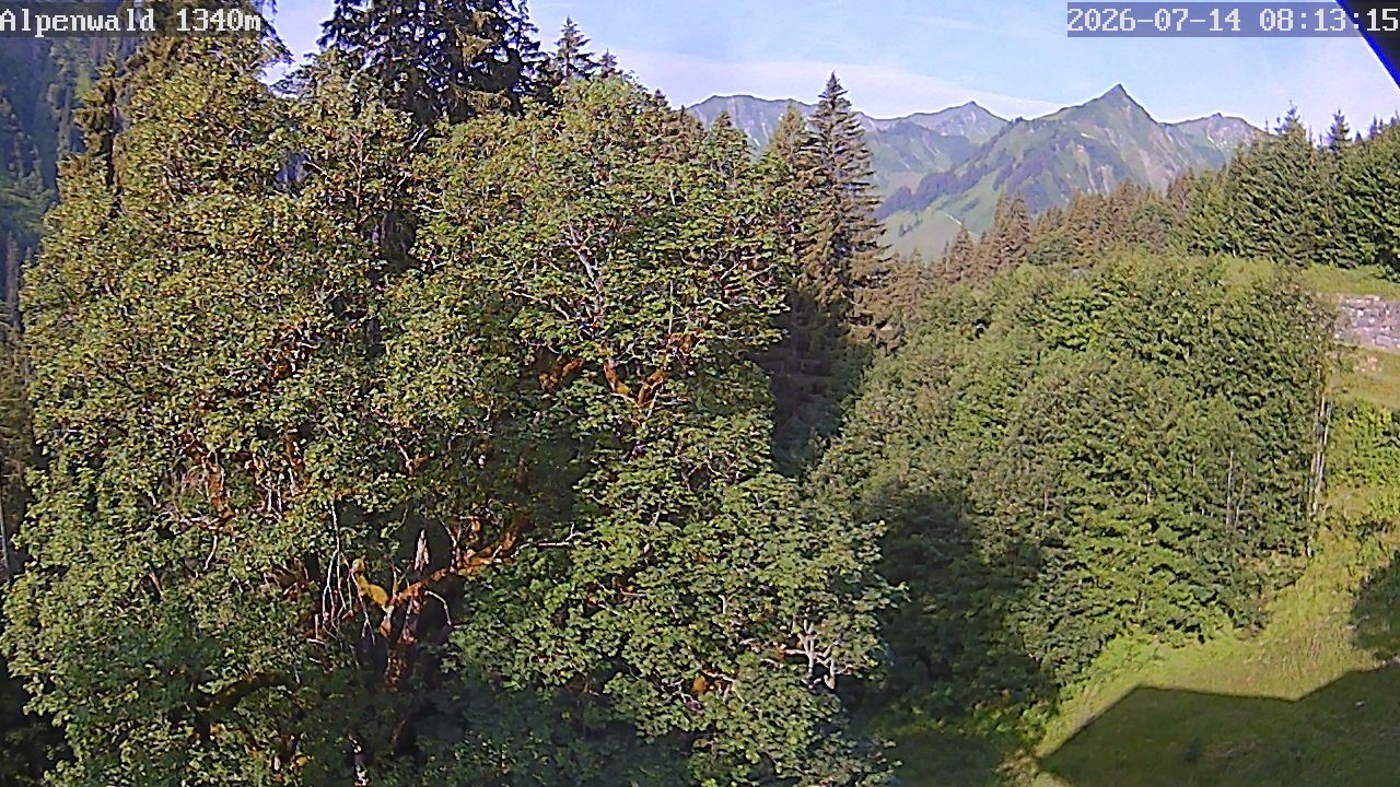 Image: Gasthof Alpenwald